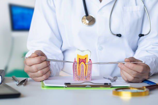 Best Emergency Gum Treatment in Machesney Park, IL